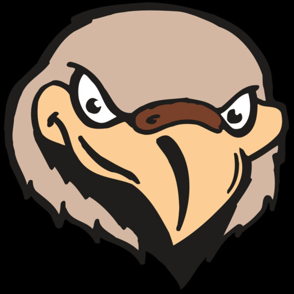 AR FALCON 33 RC Thumbnail