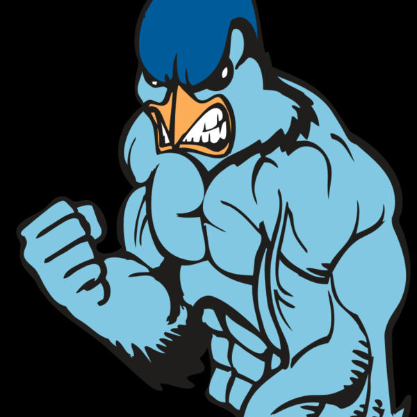 BAW BLUEJAY 13 RC Thumbnail