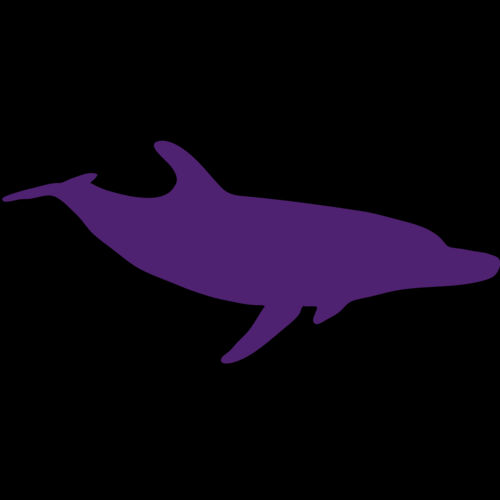 AR DOLPIN 12 RC Thumbnail