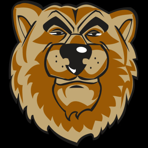 BEAR HD0501 RQC Thumbnail