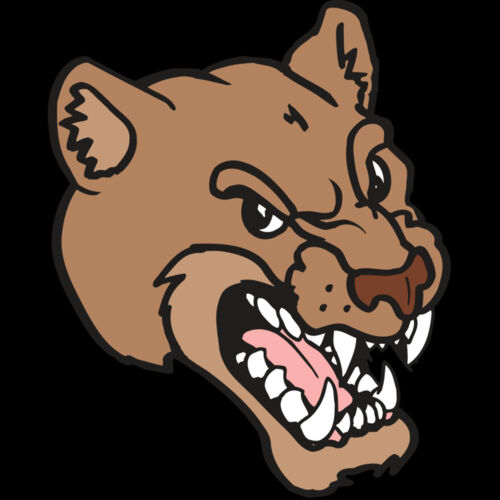 AR5 COUGAR 12 RQC Thumbnail