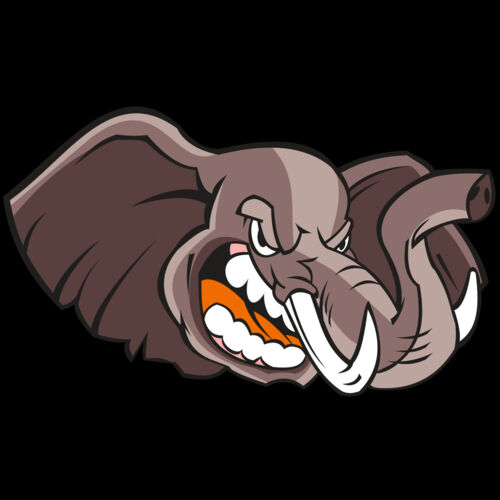 ELEPHANT HD0503 RQC Thumbnail