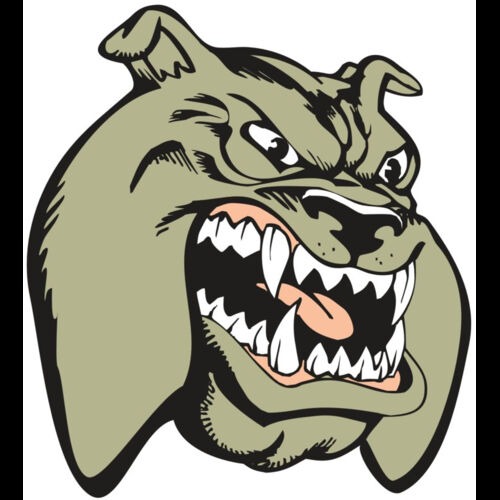 BAW BULLDOG 03 RC Thumbnail