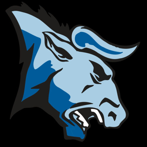 AR BULL 20 RC Thumbnail