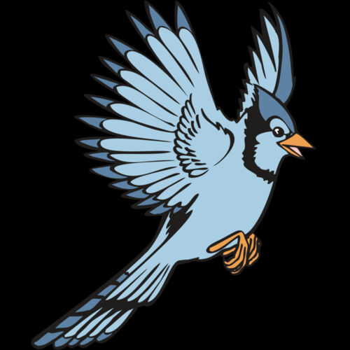 BAW BLUEJAY 12 RC Thumbnail