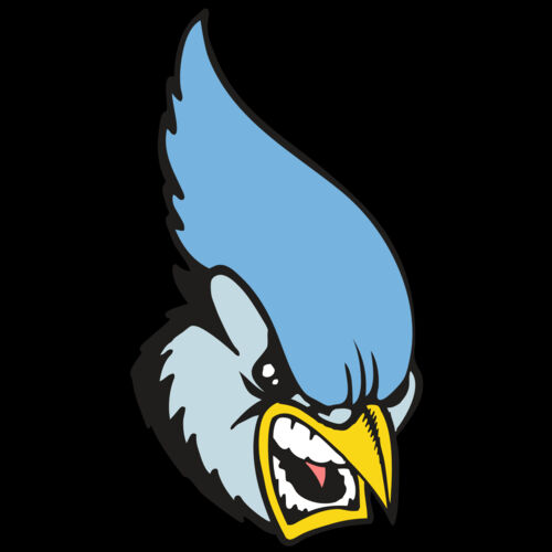 BAW BLUEJAY 05 RC Thumbnail