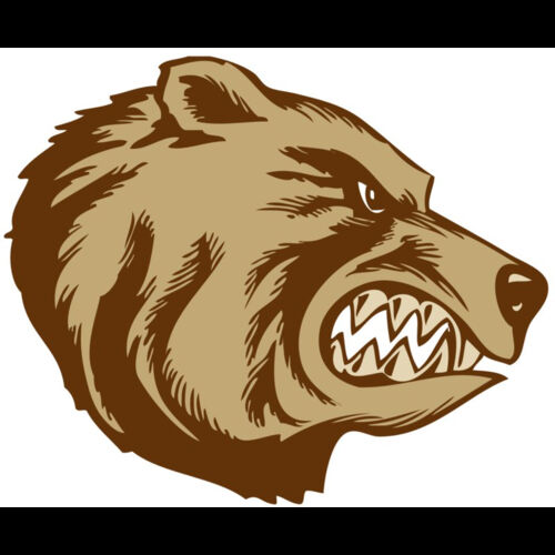 BAW BEAR 16 RC Thumbnail