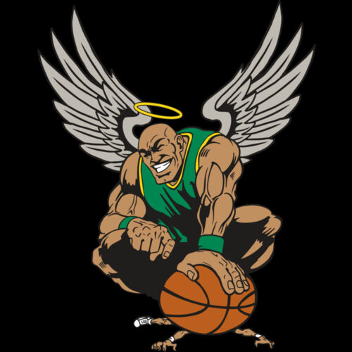 AR17 ANGEL BSKT 03 RQC Thumbnail