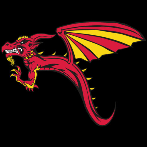 BAW DRAGON 02 RC Thumbnail