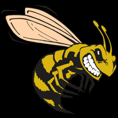 AR BEE 50 RC Thumbnail