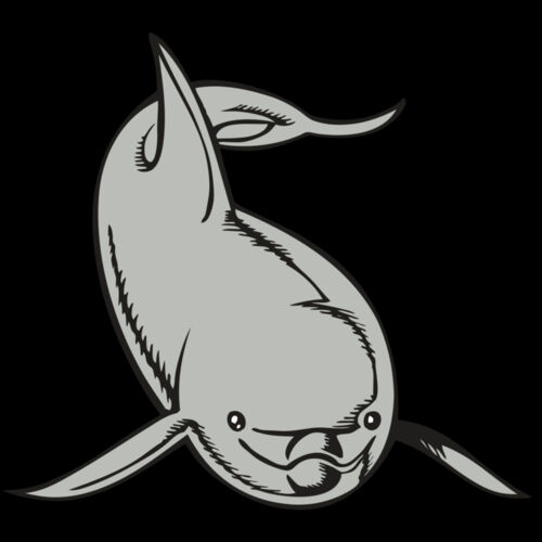 BAW DOLPHIN 02 RC Thumbnail