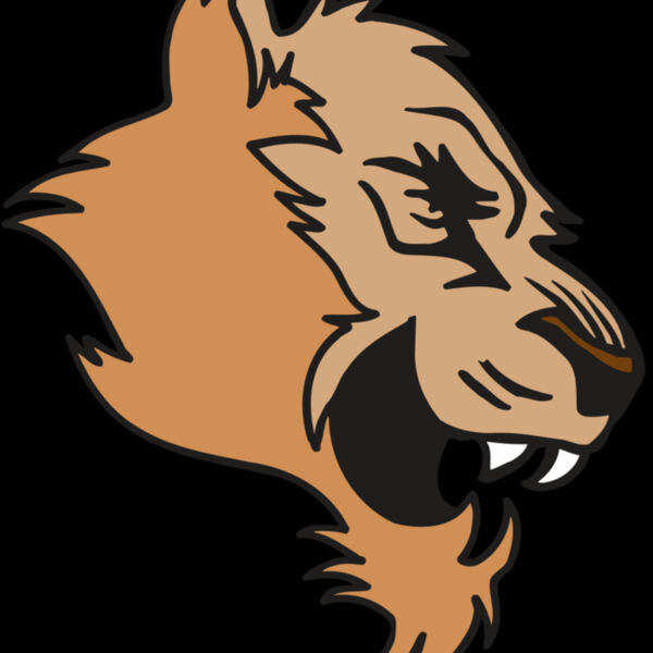 AR5 COUGAR 15 RQC Thumbnail