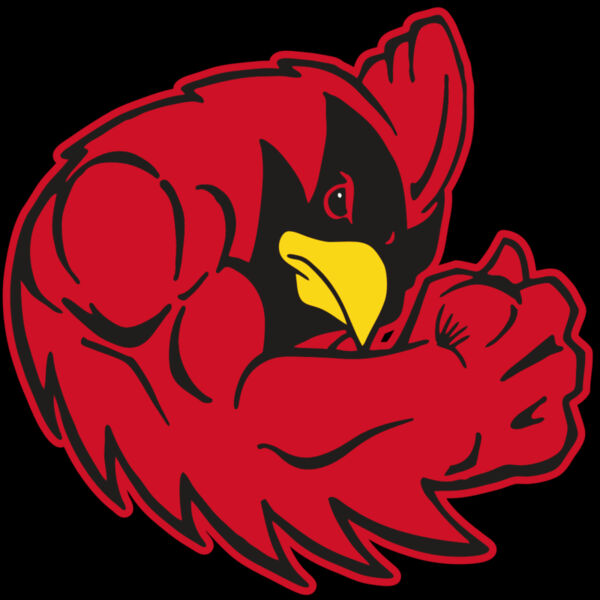 AR CARDINAL 29 RC Thumbnail