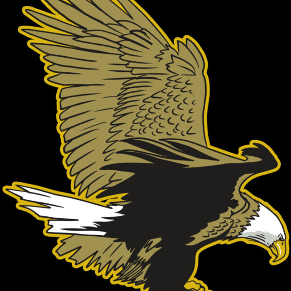 AR10 EAGLE 01 RQC Thumbnail