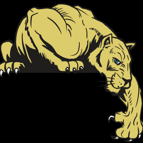 AR10 PANTHER 06 RQC Thumbnail