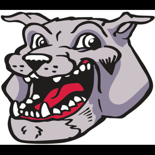 AR BDOG 24 RC Thumbnail