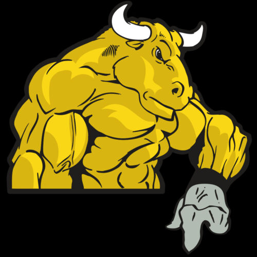 AR BULL 13 RC Thumbnail