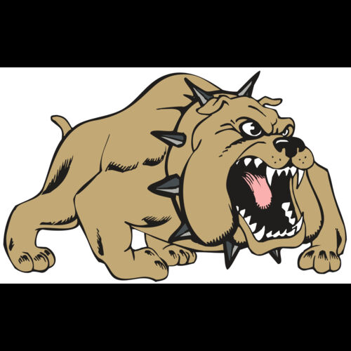 BAW BULLDOG 01 RC Thumbnail