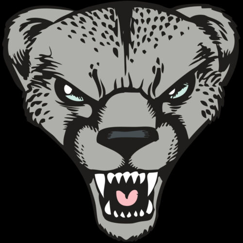 BAW CHEETAH 15 RC Thumbnail