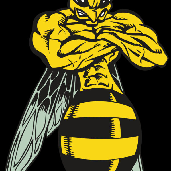 BAW BEE 16 RC Thumbnail