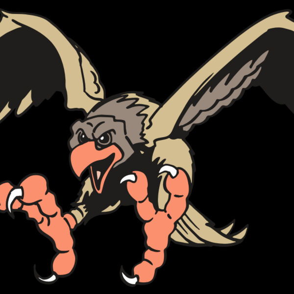 AR EAGLE 15 RC Thumbnail