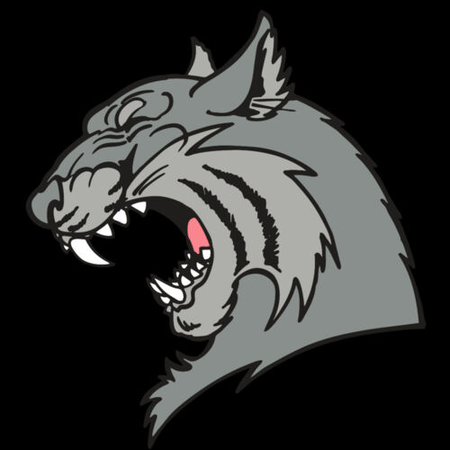 AR WILDCAT 41 RC Thumbnail