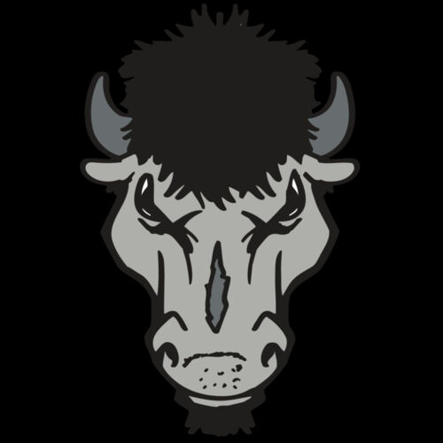 AR BUFFALO 15 RC Thumbnail