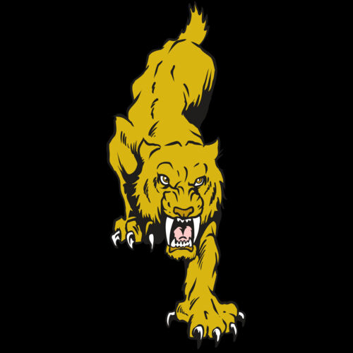 AR30 SABER 08 RQC Thumbnail