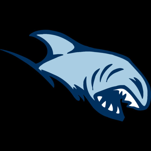 AR5 Shark 03 RQC Thumbnail