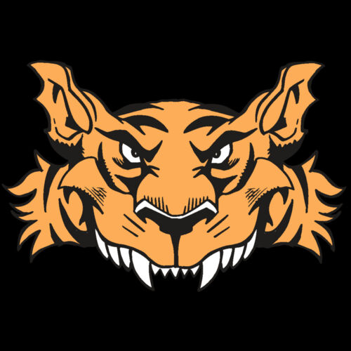 AR5 Tiger 07 RQC Thumbnail