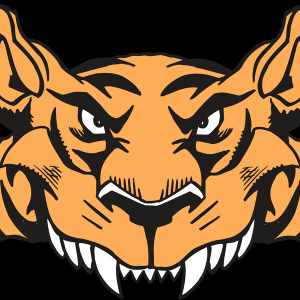 AR5 Tiger 07 RQC Thumbnail