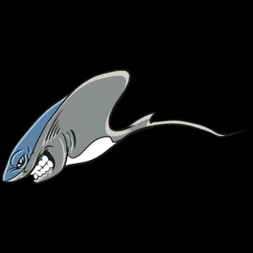 AR19 STINGRAY 01 RQC Thumbnail