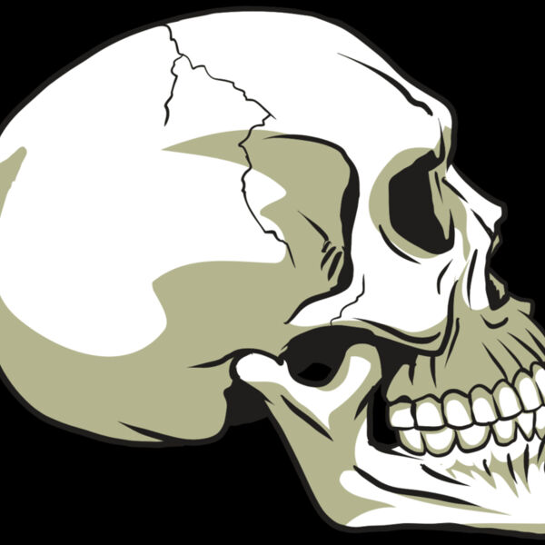 AR24 SKULL 12 RQC Thumbnail