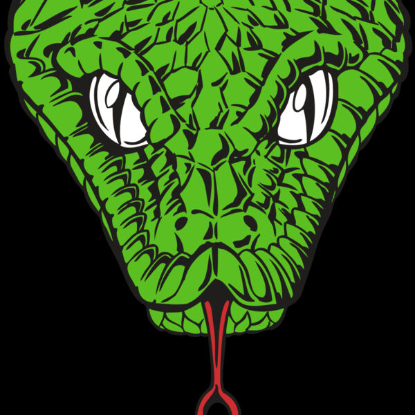 BAW SNAKE 08 RC Thumbnail