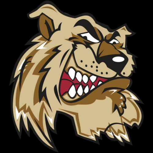 WILDCAT HD0502 RQC Thumbnail