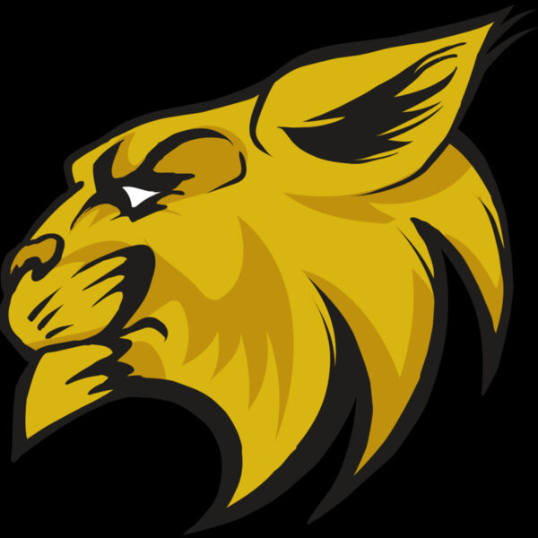 AR30 WILDCAT 02 RQC Thumbnail