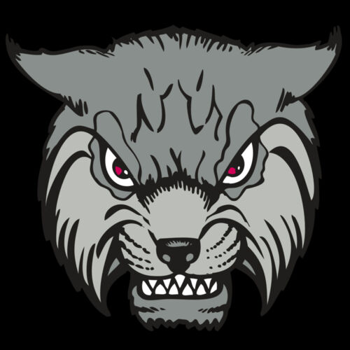 BAW BOBCAT 02 RC Thumbnail