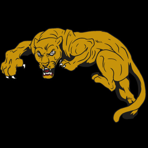 AR10 PANTHER 02 RQC Thumbnail