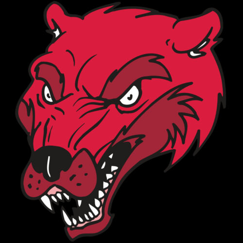 AR5 Wolverine 12 RQC Thumbnail