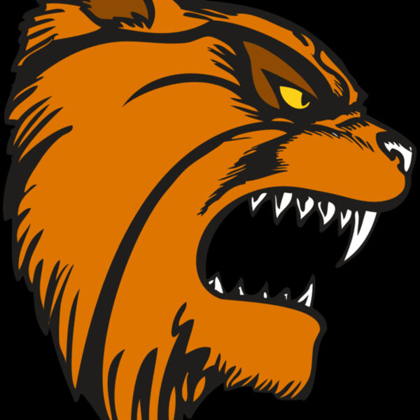 BAW WILDCAT 08 RC Thumbnail