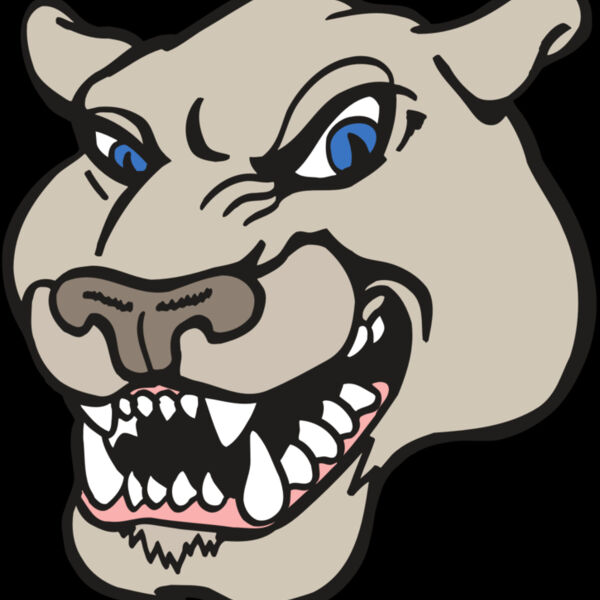 AR5 COUGAR 10 RQC Thumbnail