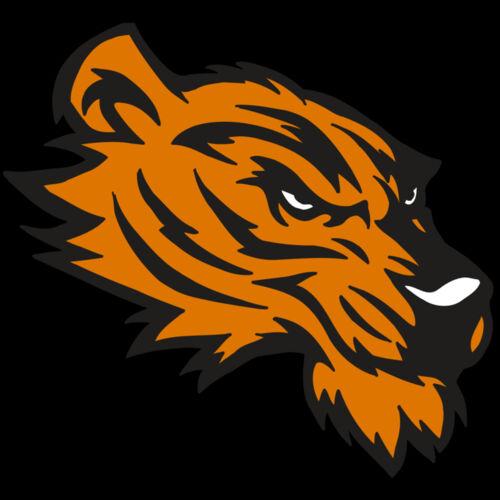 AR5 Tiger 05 RQC Thumbnail