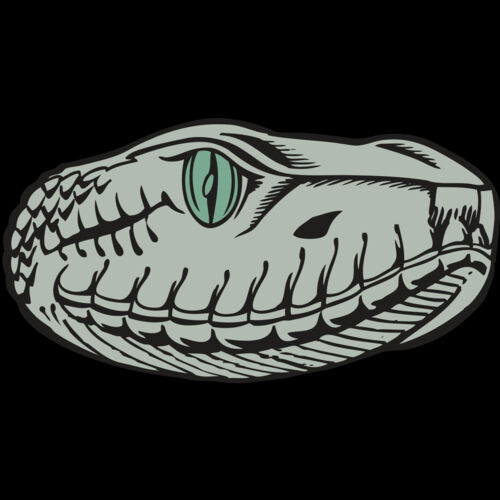 BAW SNAKE 10 RC Thumbnail