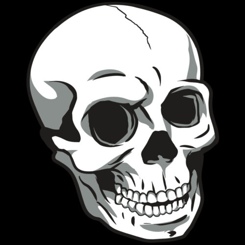 AR24 SKULL 14 RQC Thumbnail