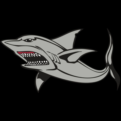 BAW SHARK 03 RC Thumbnail