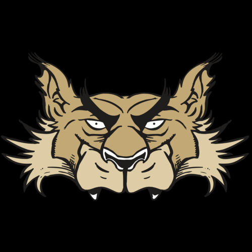 AR5 Wolf 28 RQC Thumbnail