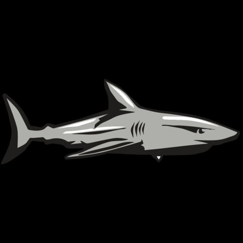 AR9 SHARK 01 RQC Thumbnail