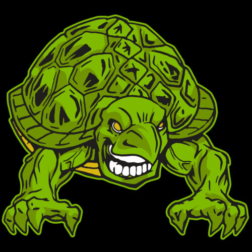 AR31 TURTLE 03 RQC Thumbnail