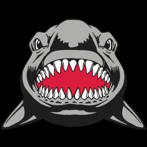 AR  SHARK 25 RC Thumbnail