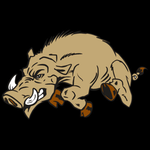 AR20 RAZORBACK 37 RQC Thumbnail